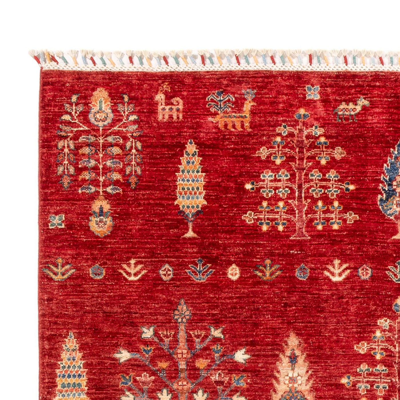 Ariana Mattan 247x170cm - Oriental Carpet