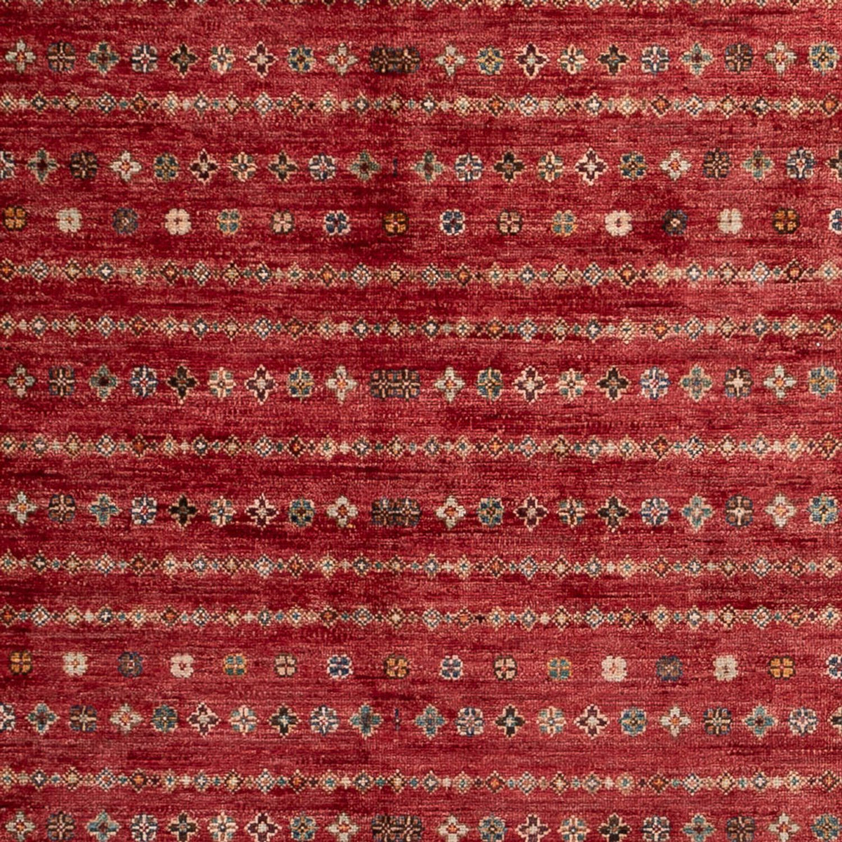 Ziegler Carpet - Shal - 268 x 183 cm - röd