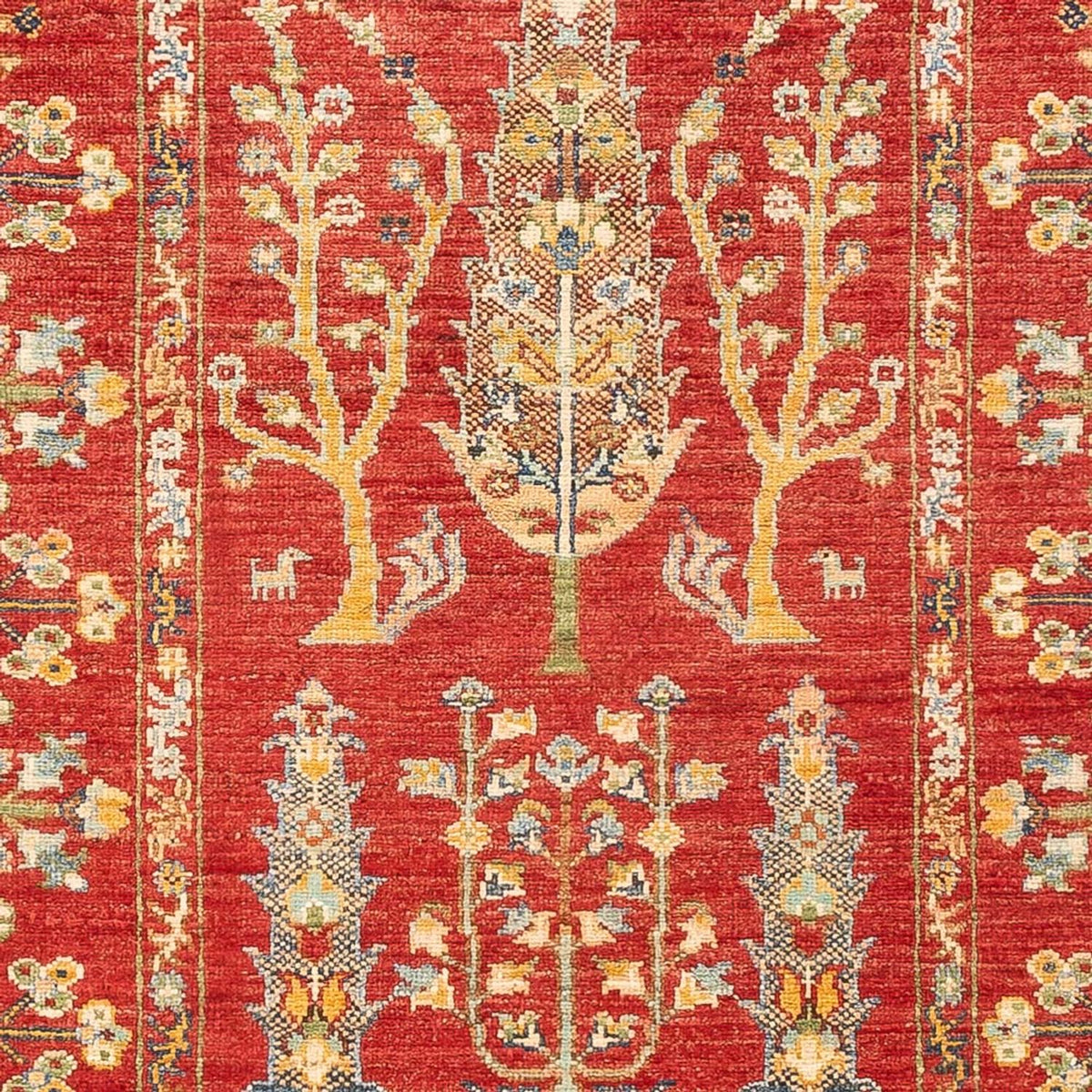 Runner Ziegler Carpet - Ariana - 199 x 73 cm - röd