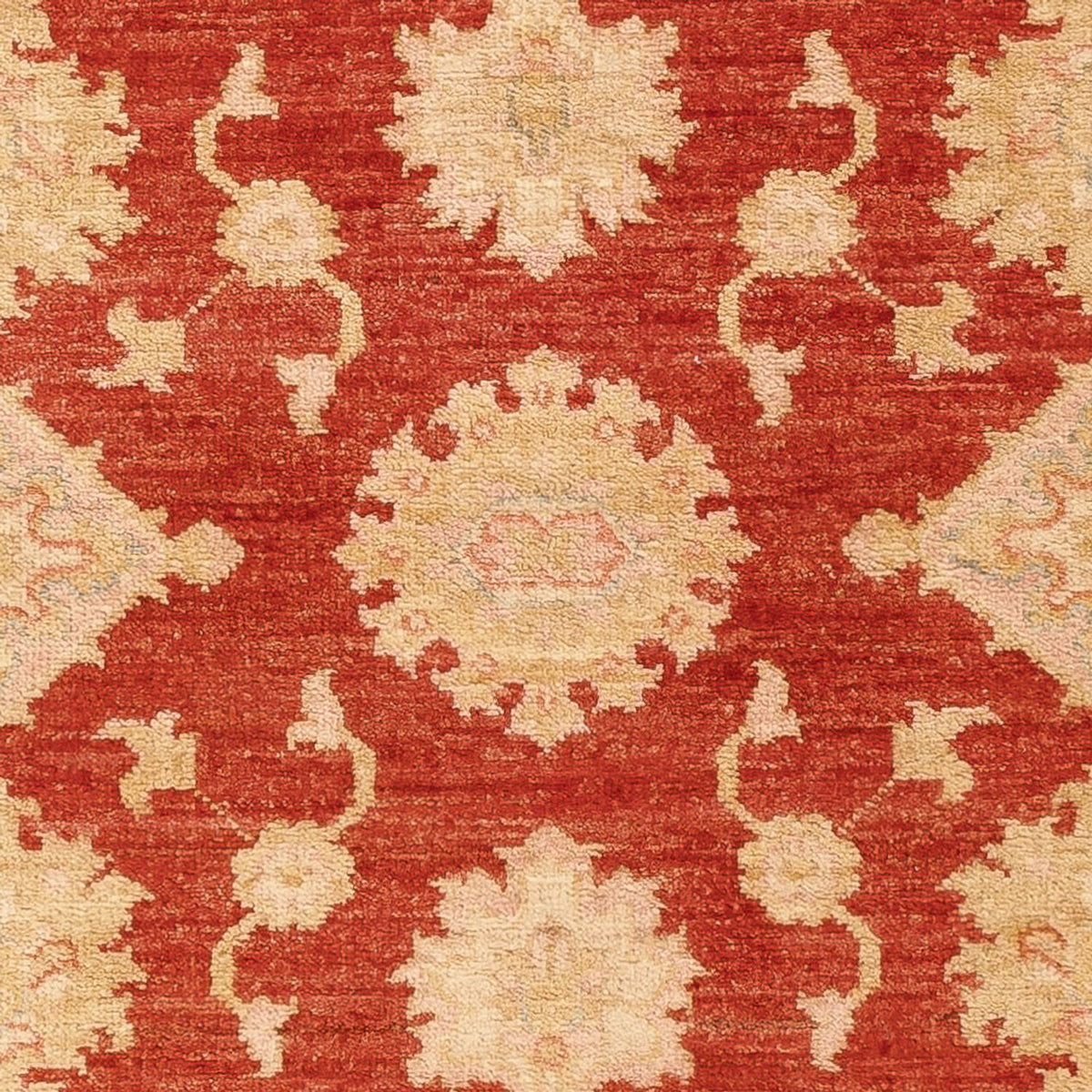 Runner Ziegler Carpet - 197 x 87 cm - röd