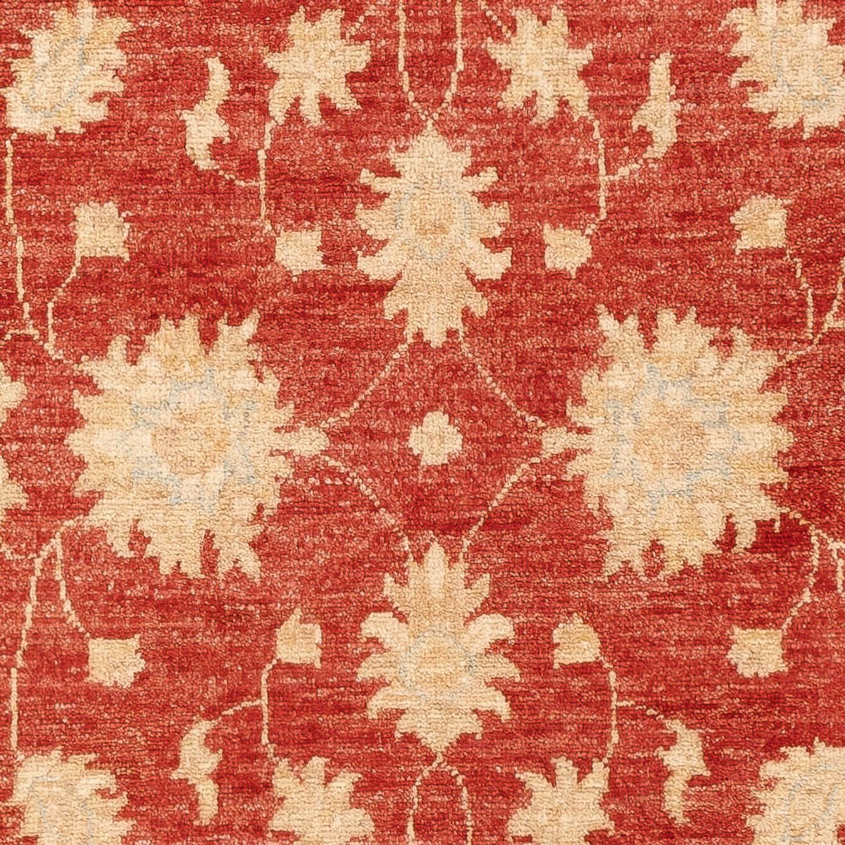 Runner Ziegler Carpet - 200 x 82 cm - röd