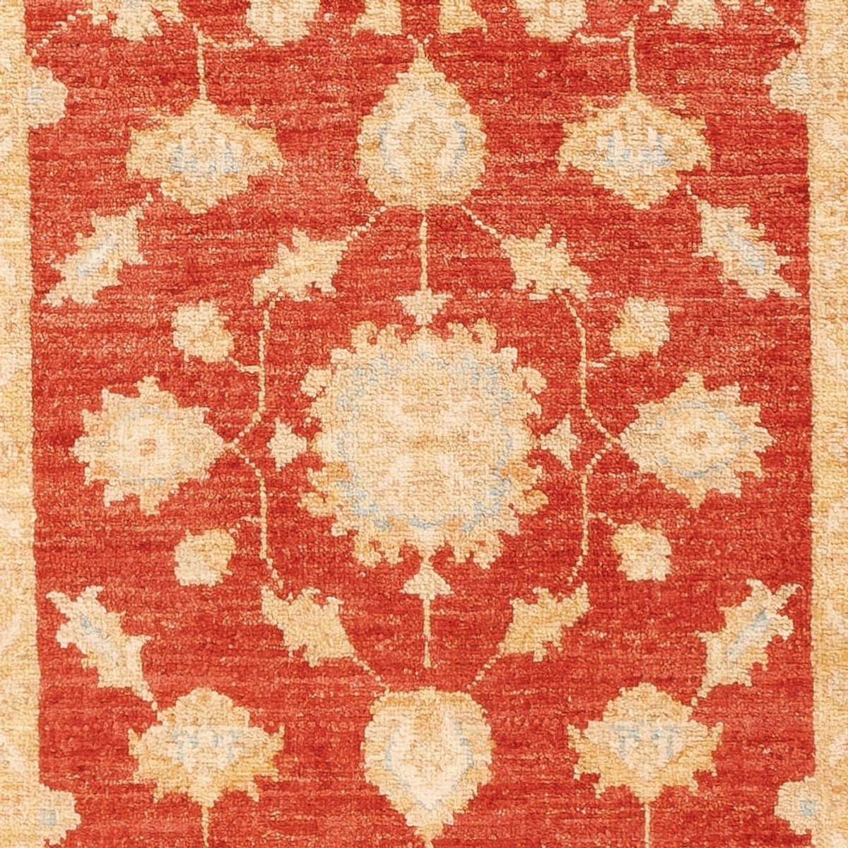 Runner Ziegler Carpet - 199 x 76 cm - röd