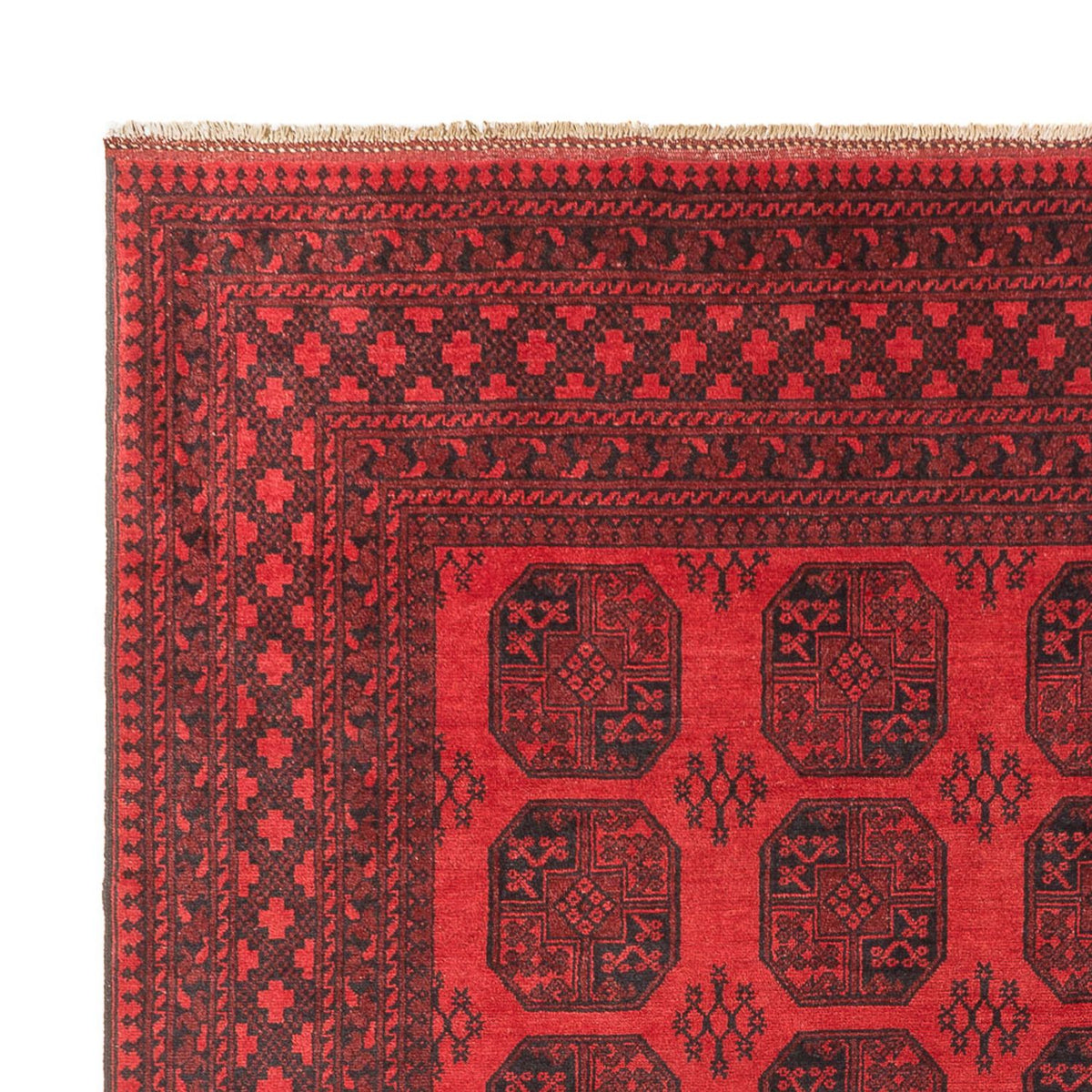 Akhche Mattan 295x384cm - Oriental Carpet