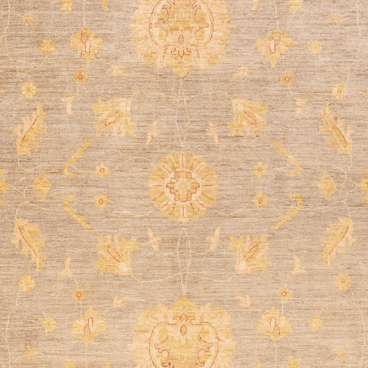 Ziegler Carpet - 397 x 304 cm - mörk beige