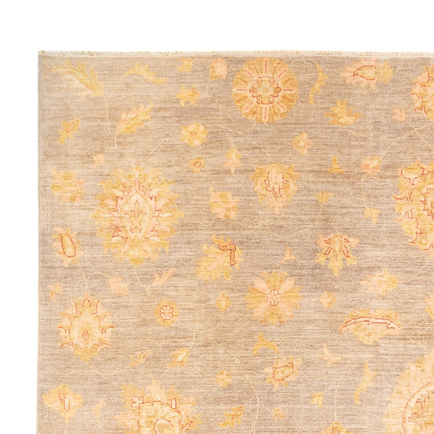 Ziegler Carpet 397x304cm - Oriental Carpet