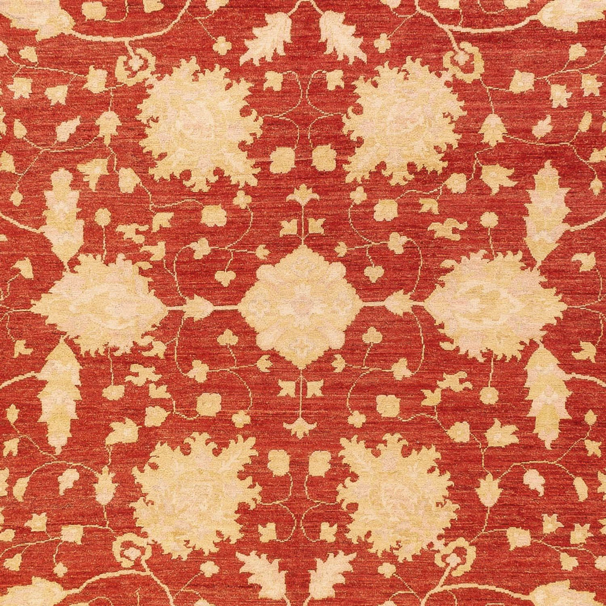 Ziegler Carpet - 399 x 305 cm - röd