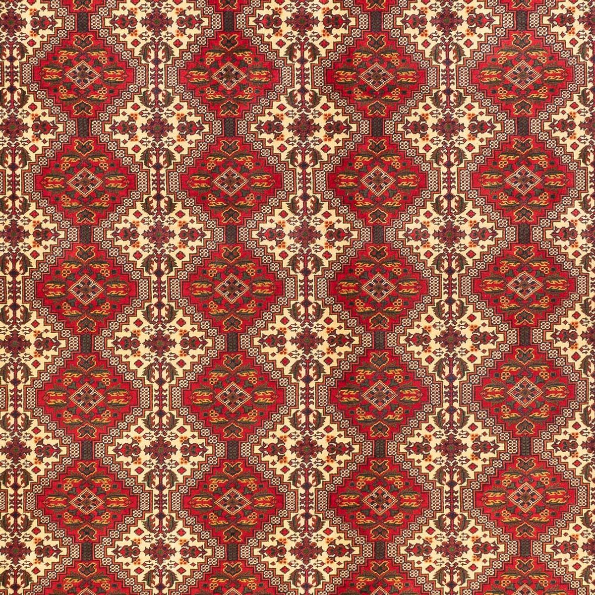 Afghansk matta - Kungliga - 385 x 300 cm - flerfärgad