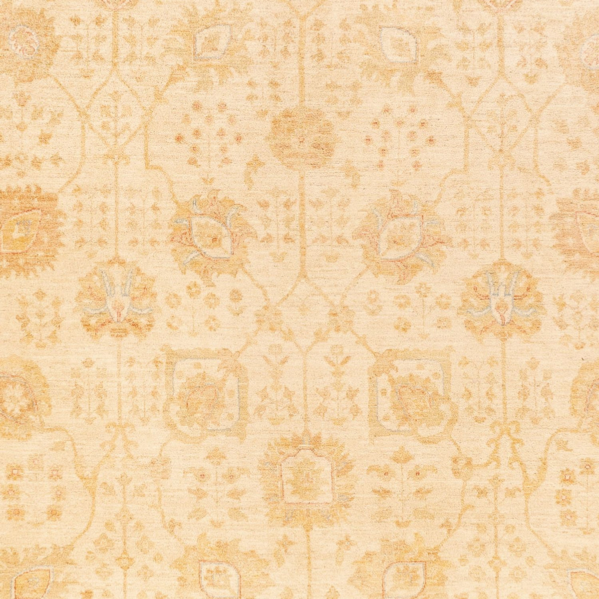 Ziegler Carpet - 400 x 305 cm - beige