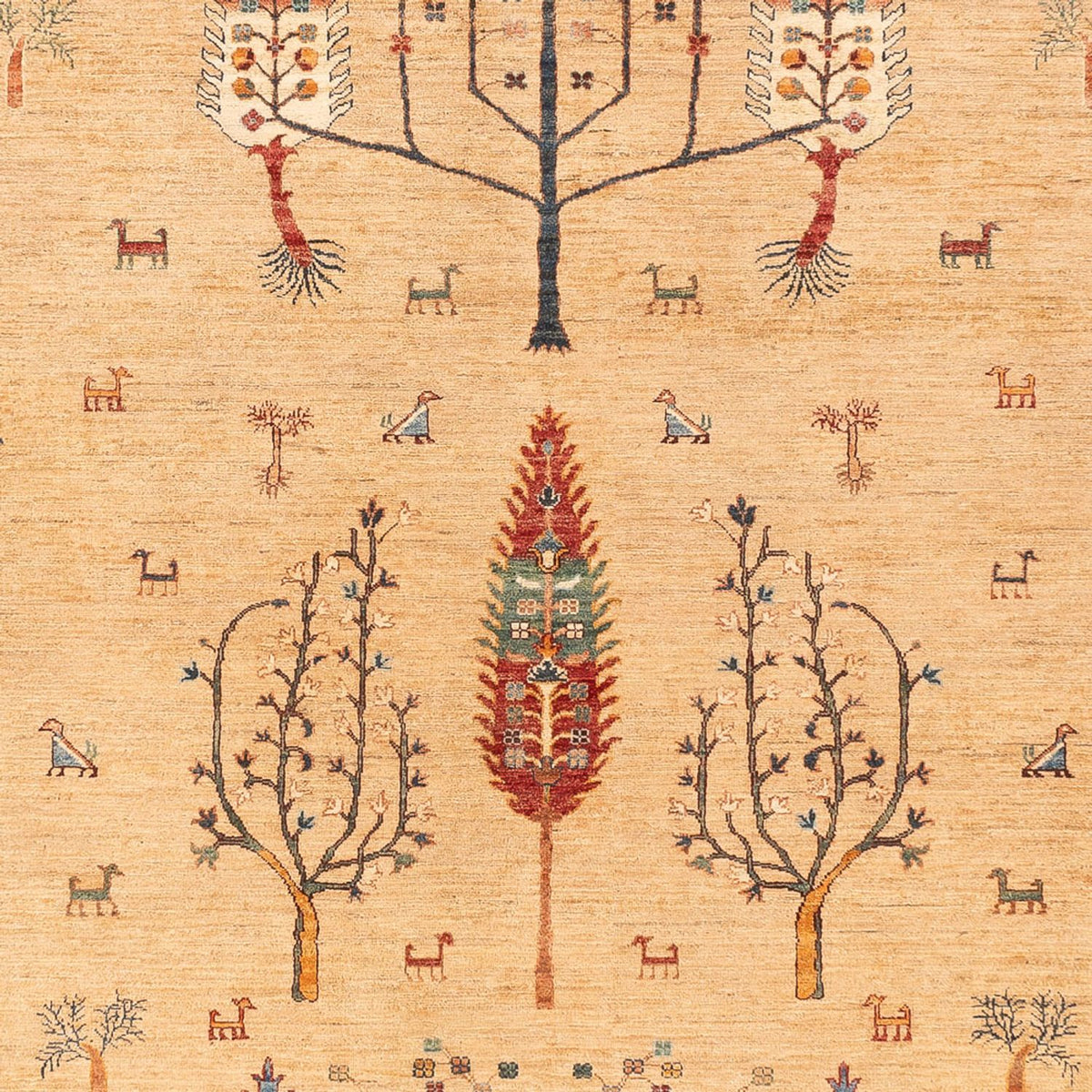 Ziegler Carpet - Ariana - 388 x 298 cm - beige