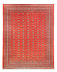 Bukhara Mattan 401x311cm - Oriental Carpet