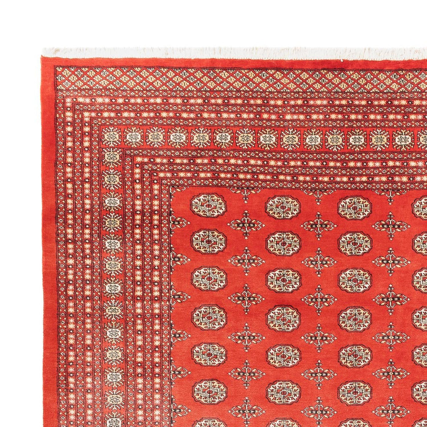 Bukhara Mattan 401x311cm - Oriental Carpet