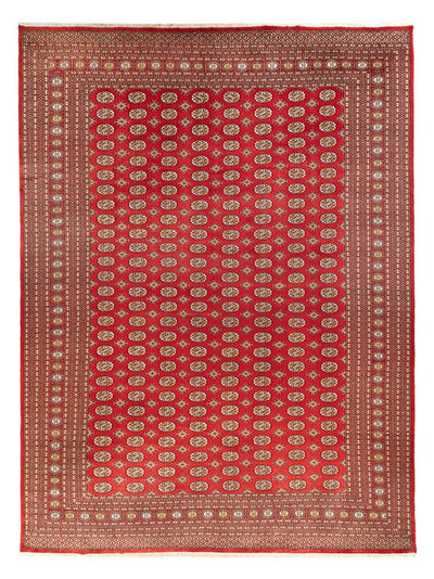 Bukhara Mattan 310x418cm - Oriental Carpet