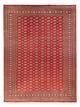 Bukhara Mattan 418x310cm - Oriental Carpet