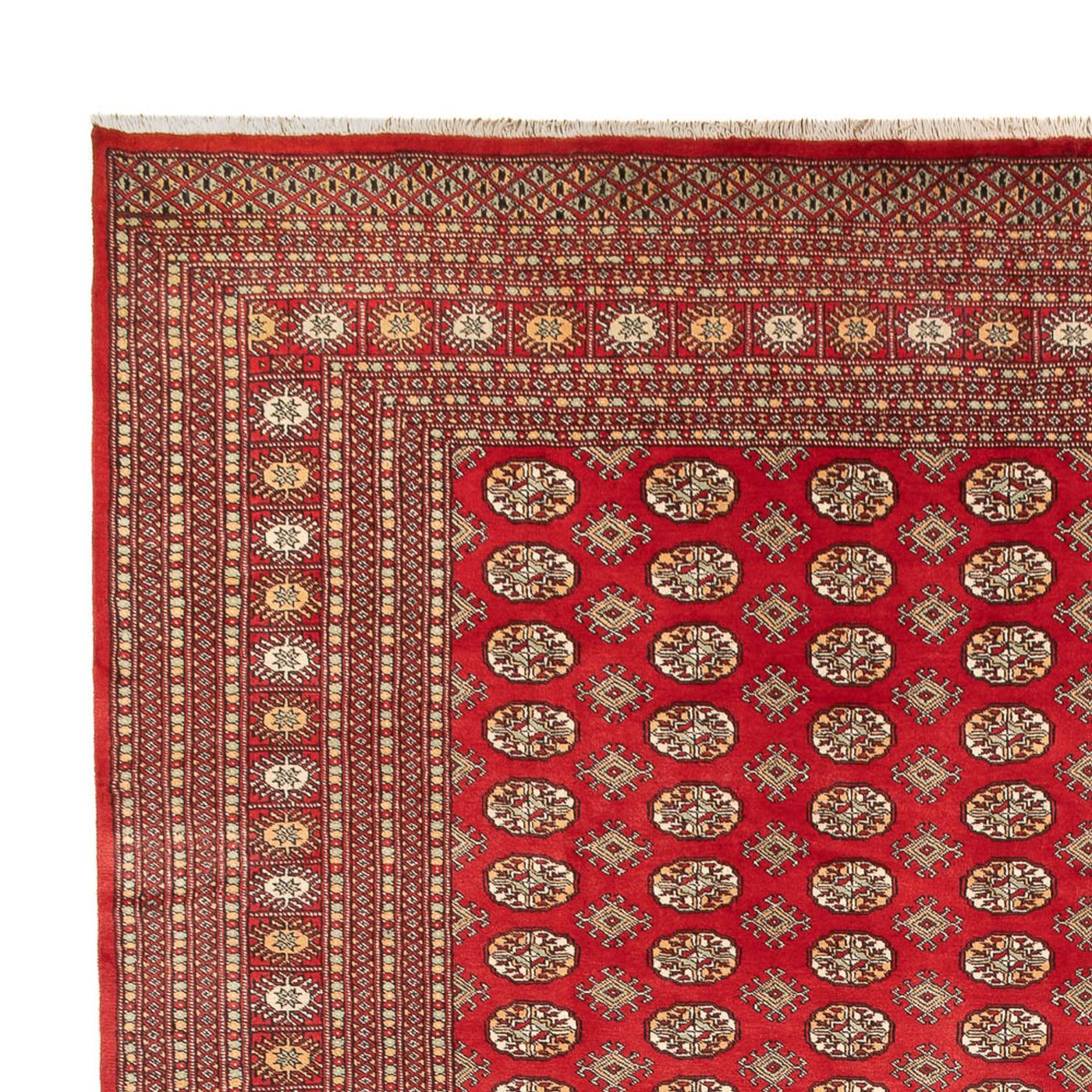 Bukhara Mattan 418x310cm - Oriental Carpet