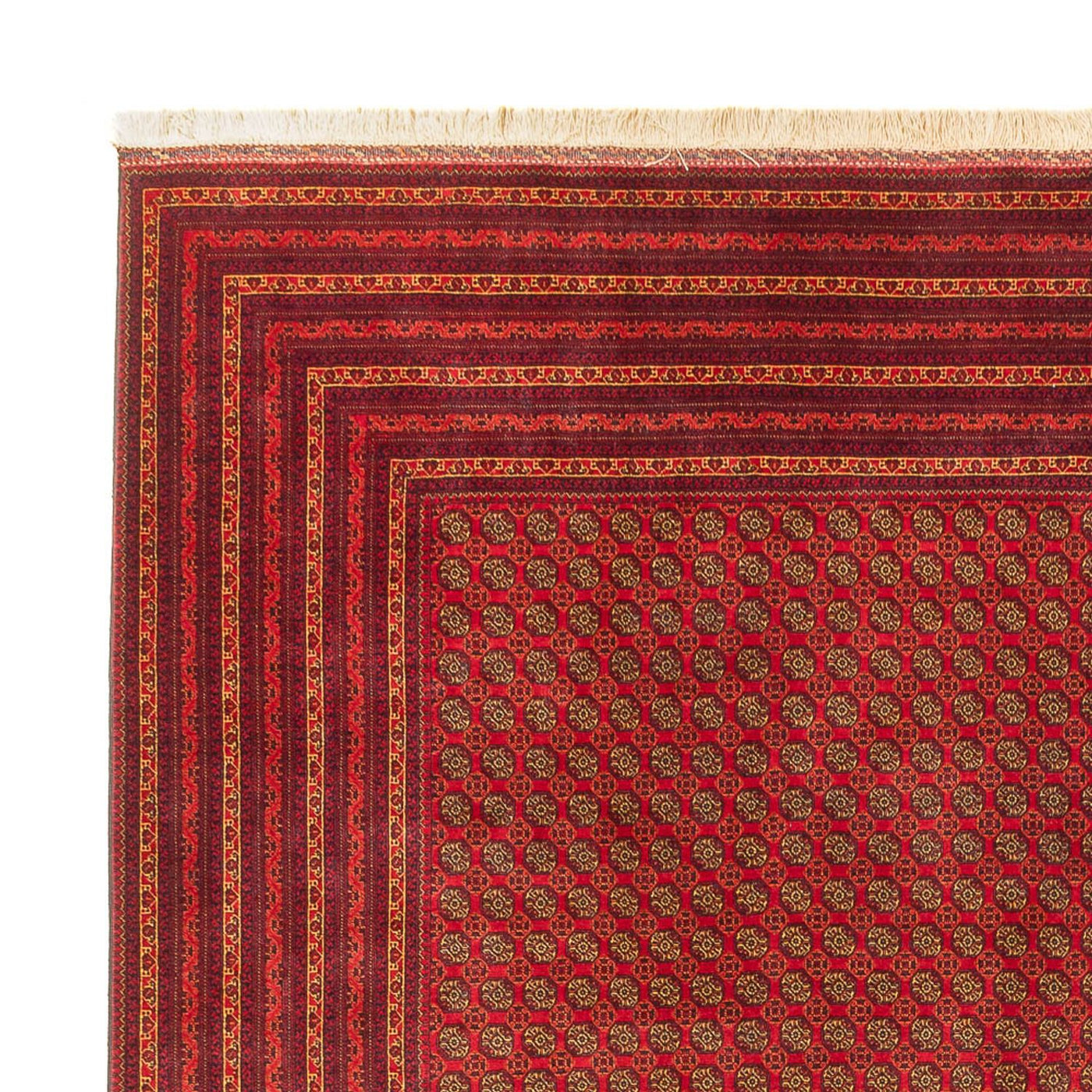 Afghansk matta 389x295cm - Oriental Carpet