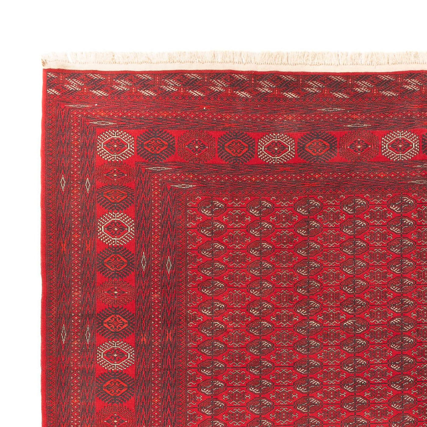 Afghansk matta 400x305cm - Oriental Carpet