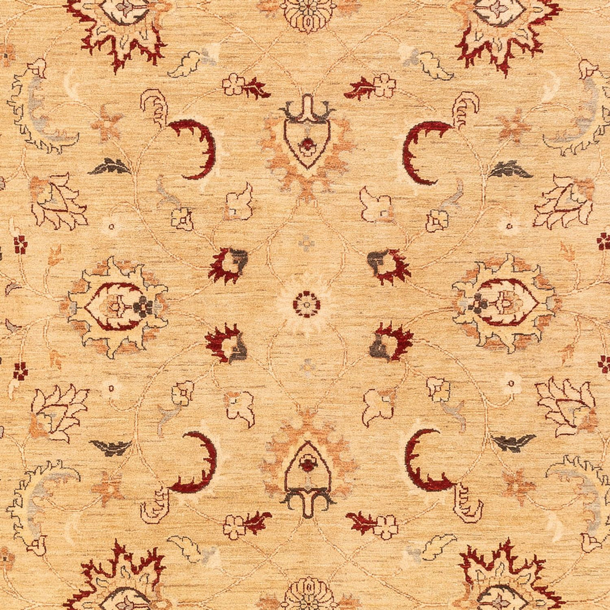 Ziegler Carpet - 383 x 271 cm - beige