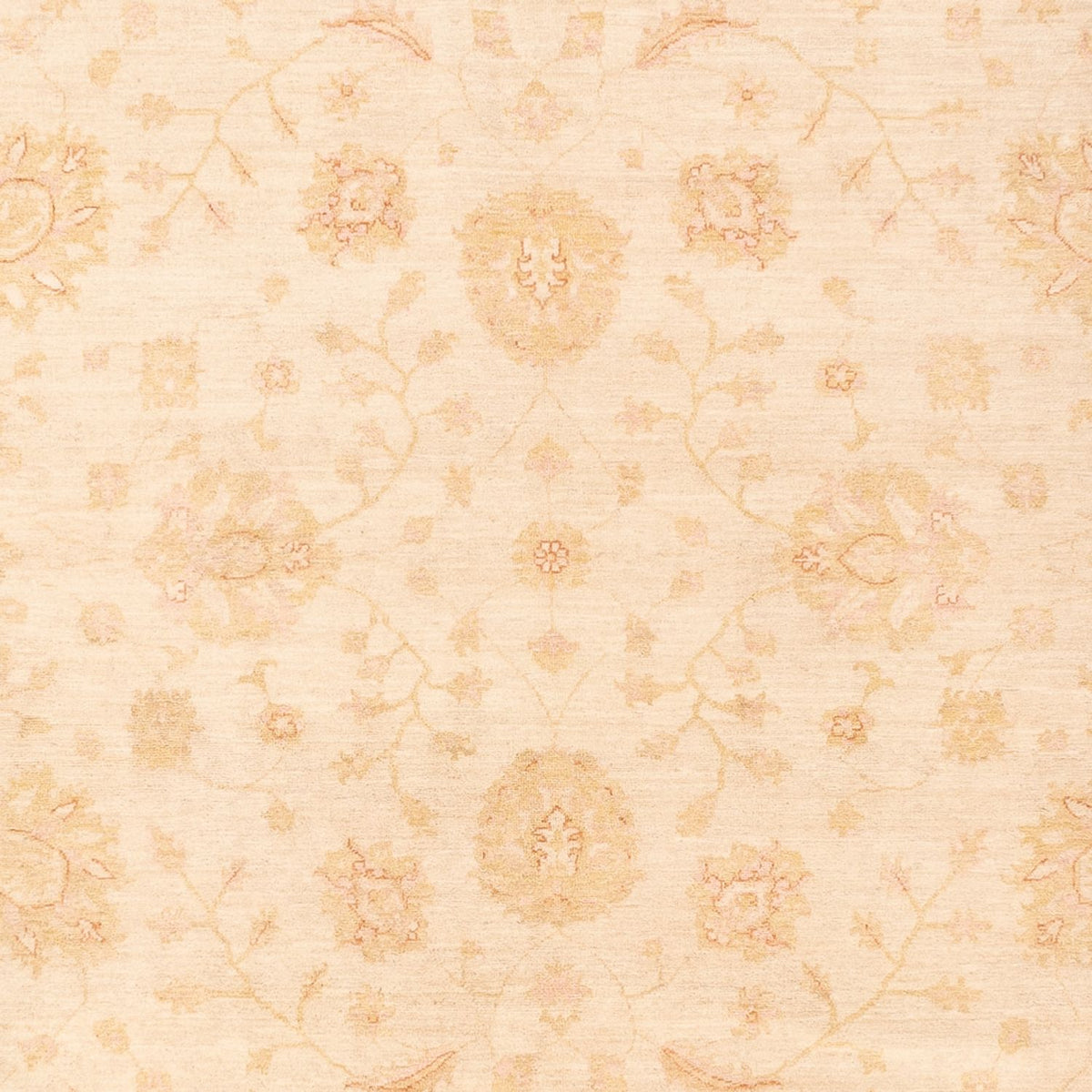 Ziegler Carpet - 365 x 270 cm - beige