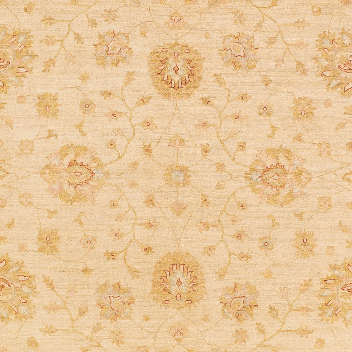 Ziegler Carpet - 365 x 273 cm - beige