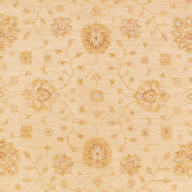 Ziegler Carpet - 365 x 273 cm - beige