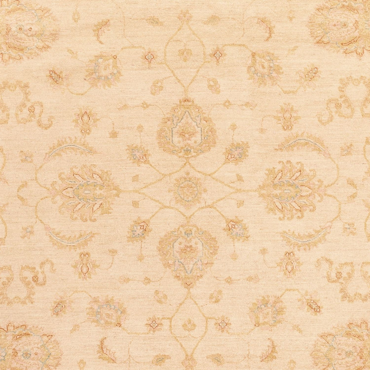 Ziegler Carpet - 364 x 277 cm - beige