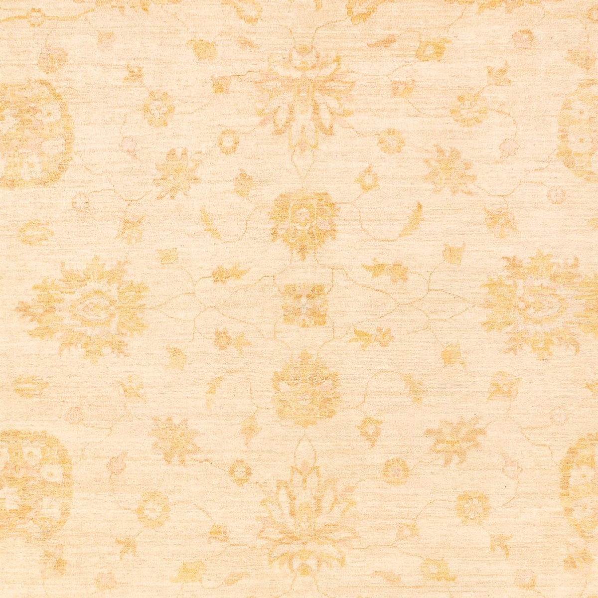 Ziegler Carpet - 367 x 270 cm - beige