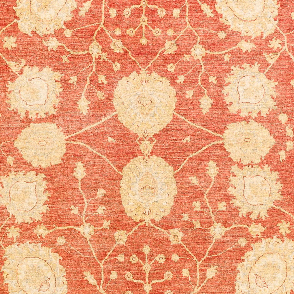 Ziegler Carpet - 366 x 277 cm - röd