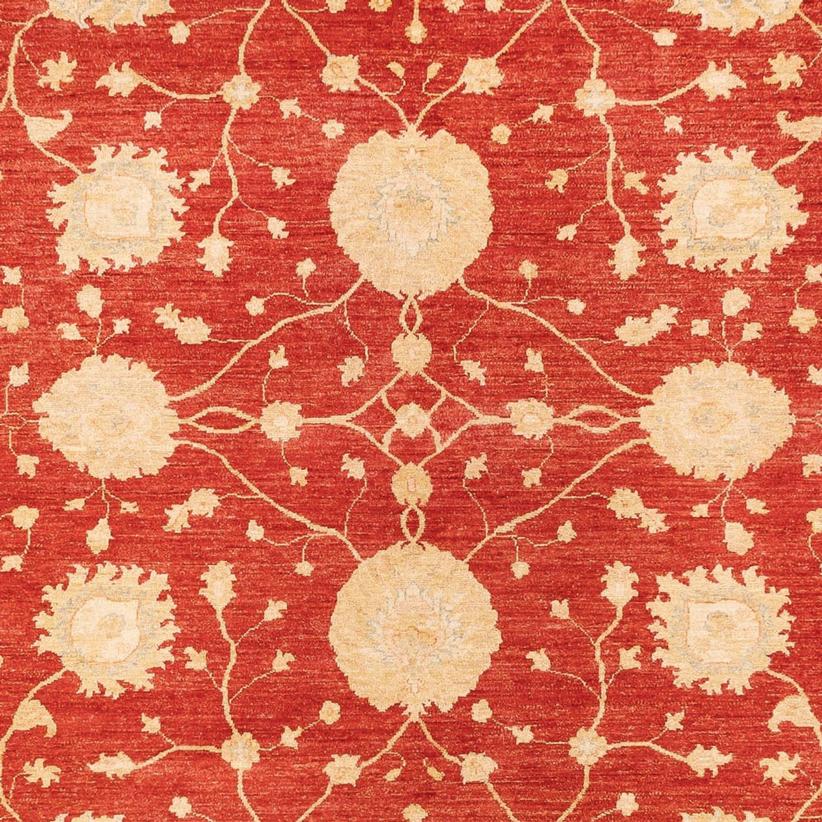 Ziegler Carpet - 367 x 277 cm - röd