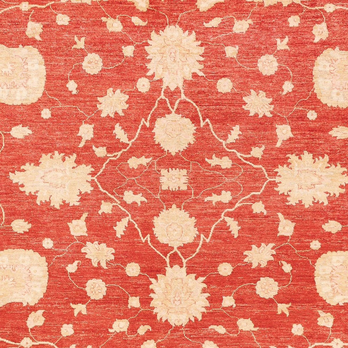 Ziegler Carpet - 373 x 274 cm - röd