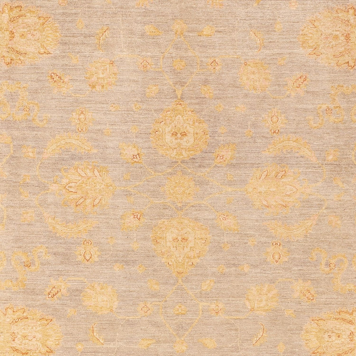 Ziegler Carpet - 360 x 271 cm - mörk beige