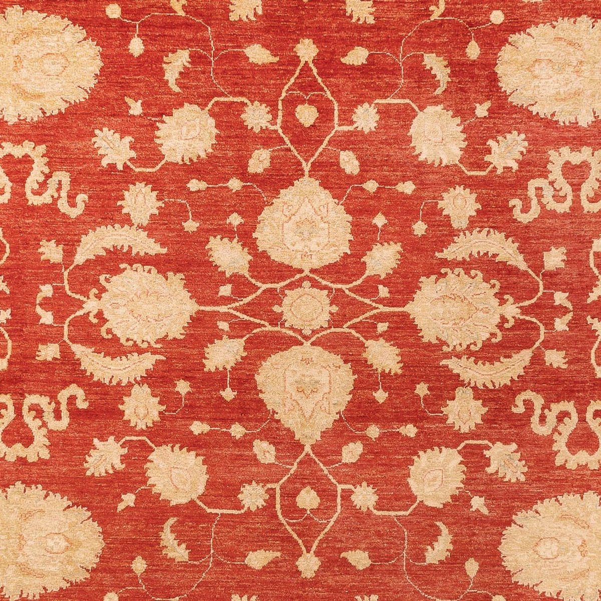 Ziegler Carpet - 361 x 272 cm - röd