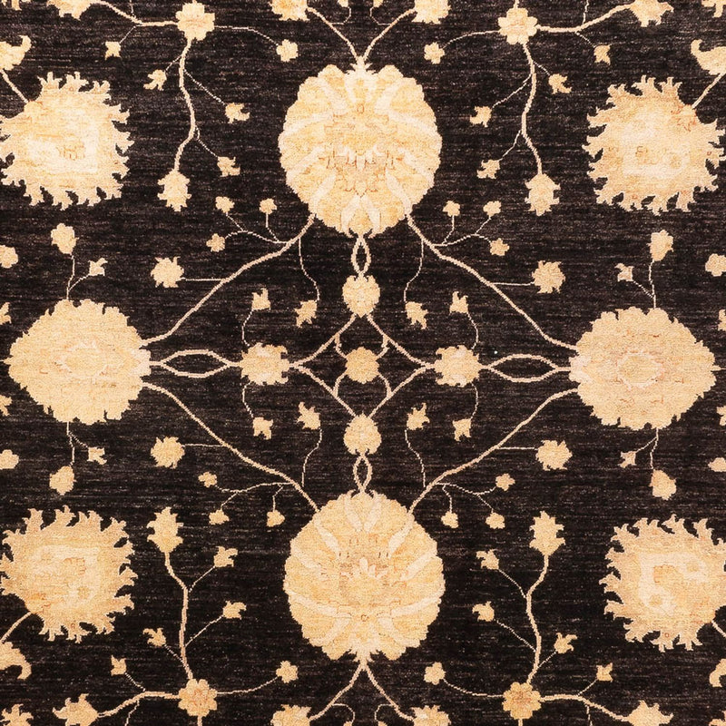 Ziegler Carpet - Ariana - 374 x 277 cm - svart
