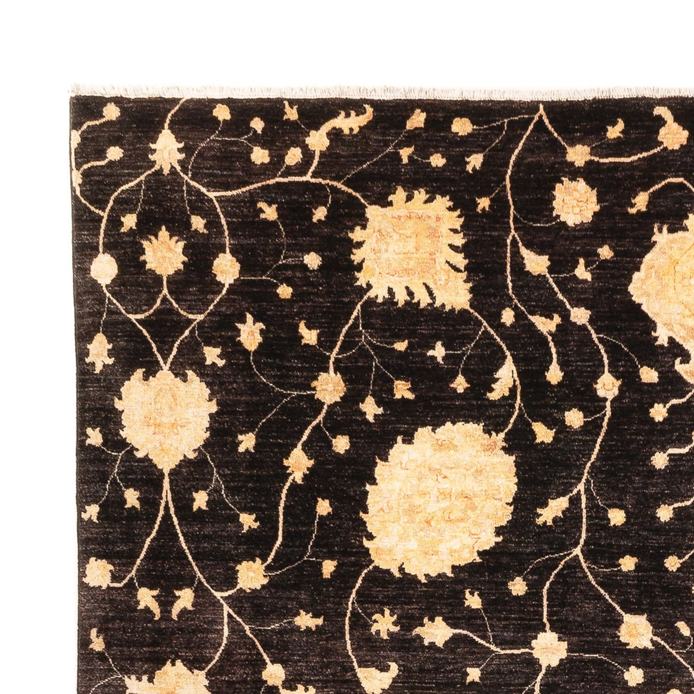 Ariana Mattan 374x277cm - Oriental Carpet