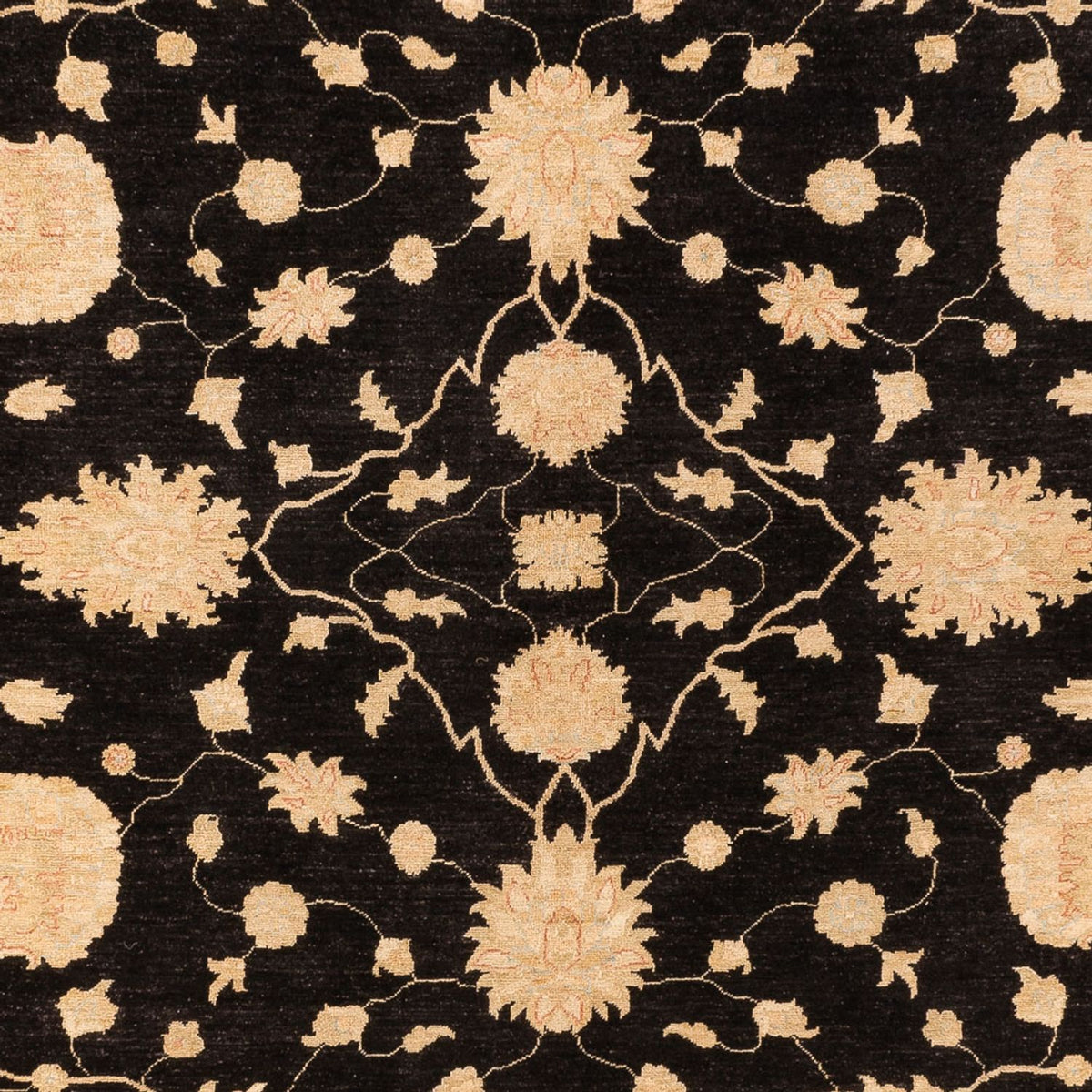 Ziegler Carpet - 378 x 272 cm - svart