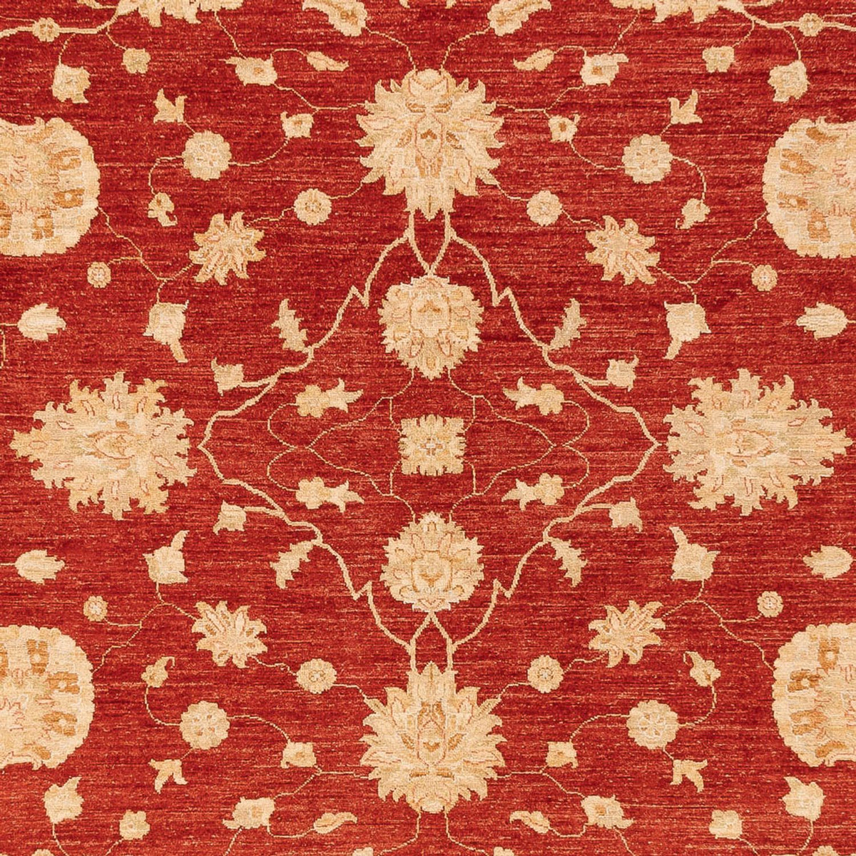 Ziegler Carpet - 360 x 268 cm - röd