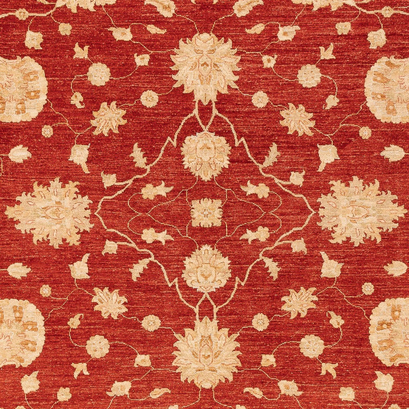 Ziegler Carpet - 360 x 268 cm - röd