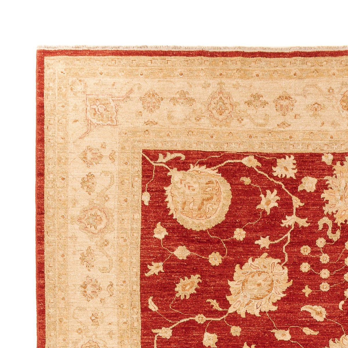 Ziegler Carpet 268x360cm - Oriental Carpet