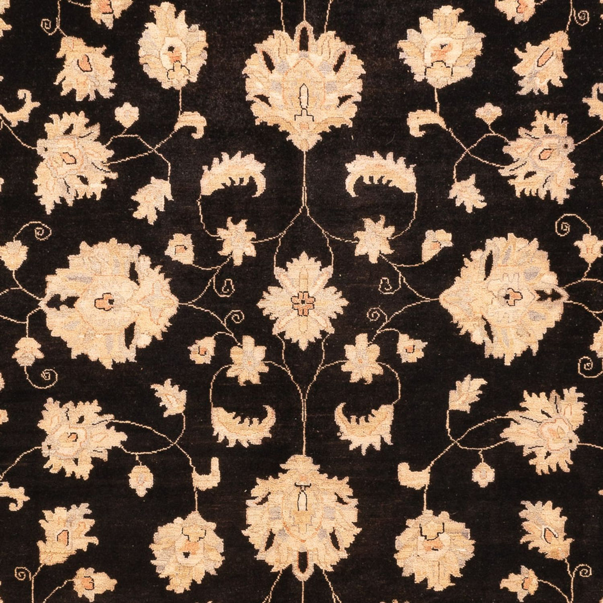 Ziegler Carpet - 360 x 276 cm - svart