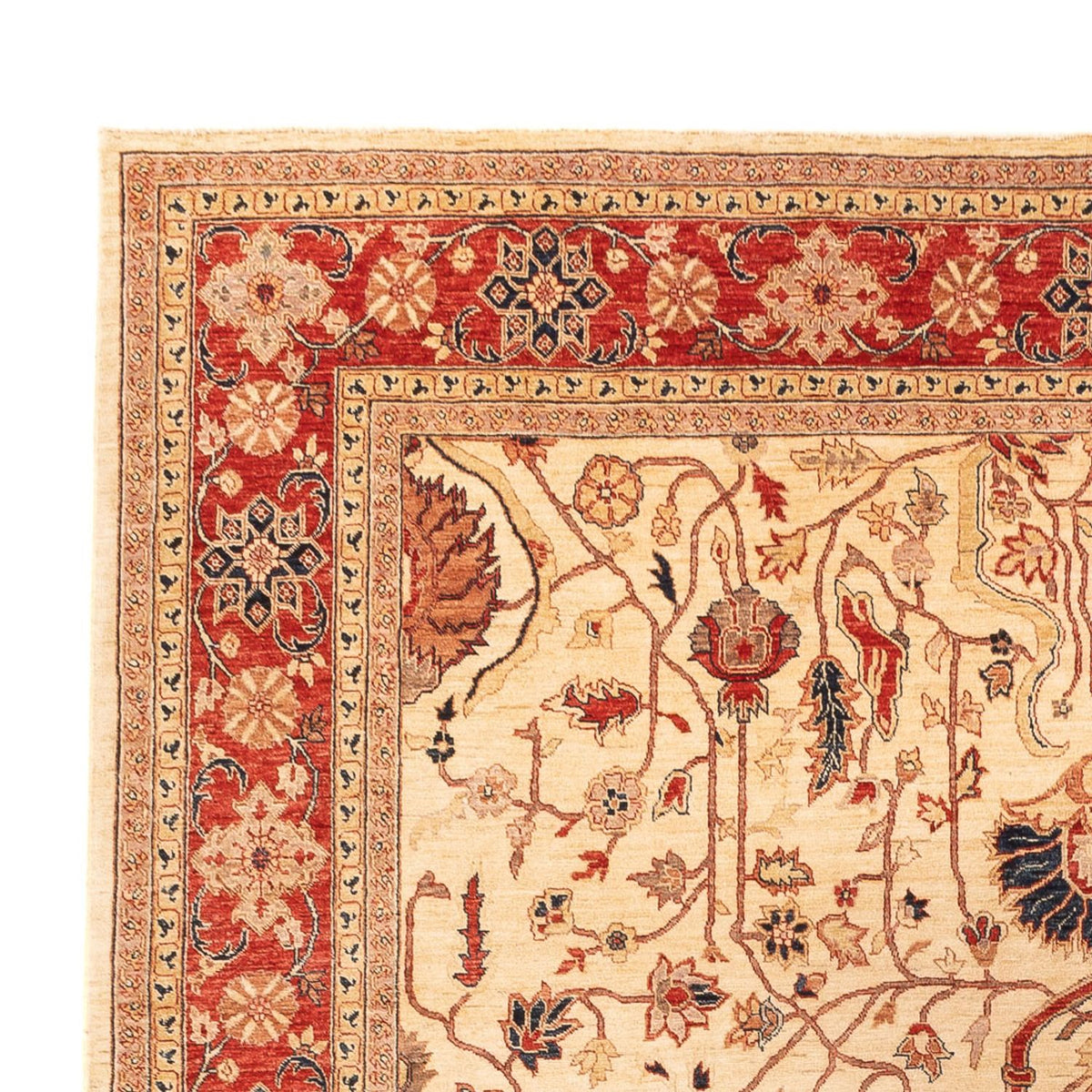 Ziegler Carpet - 365 x 276 cm - beige