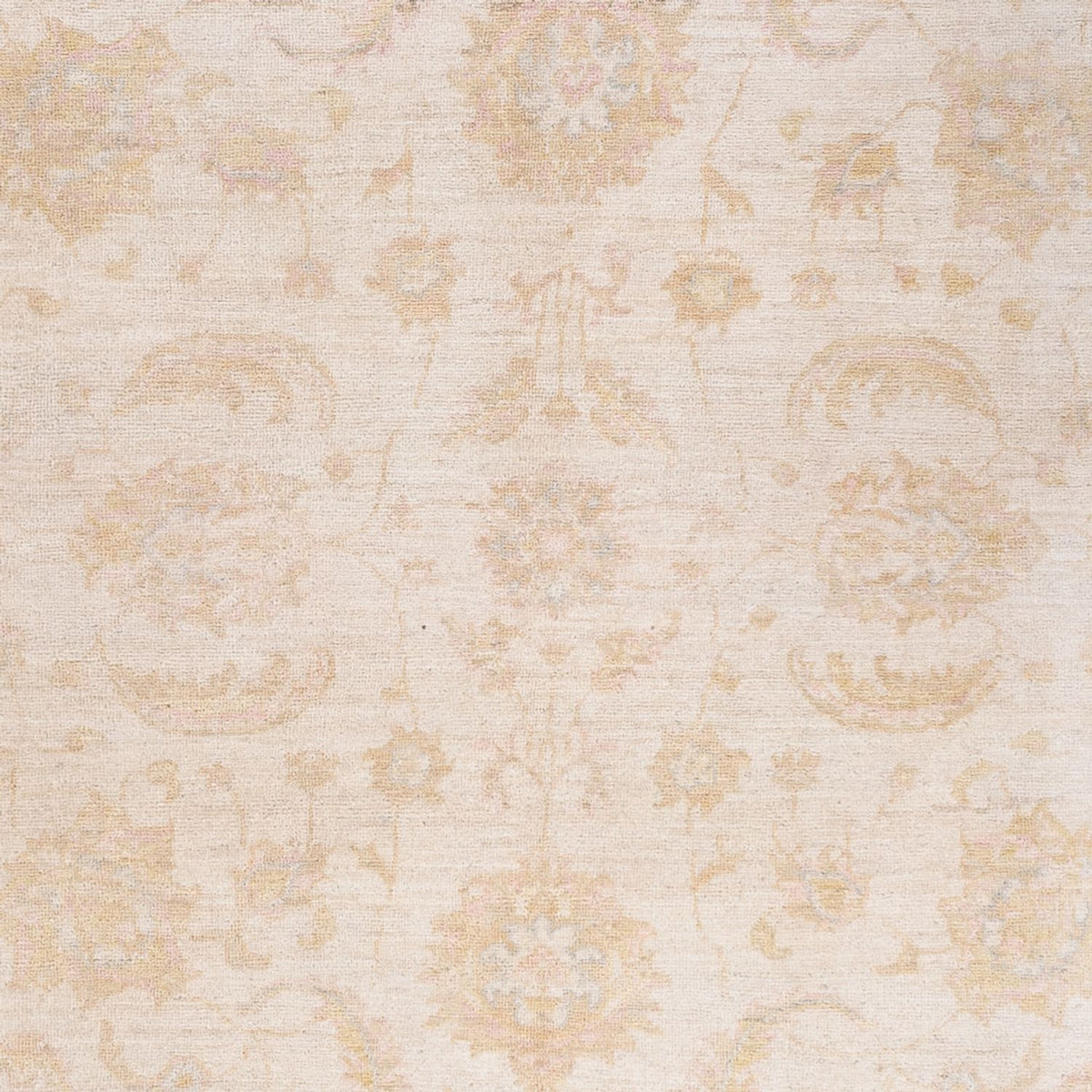 Ziegler Carpet - 240 x 162 cm - grädde