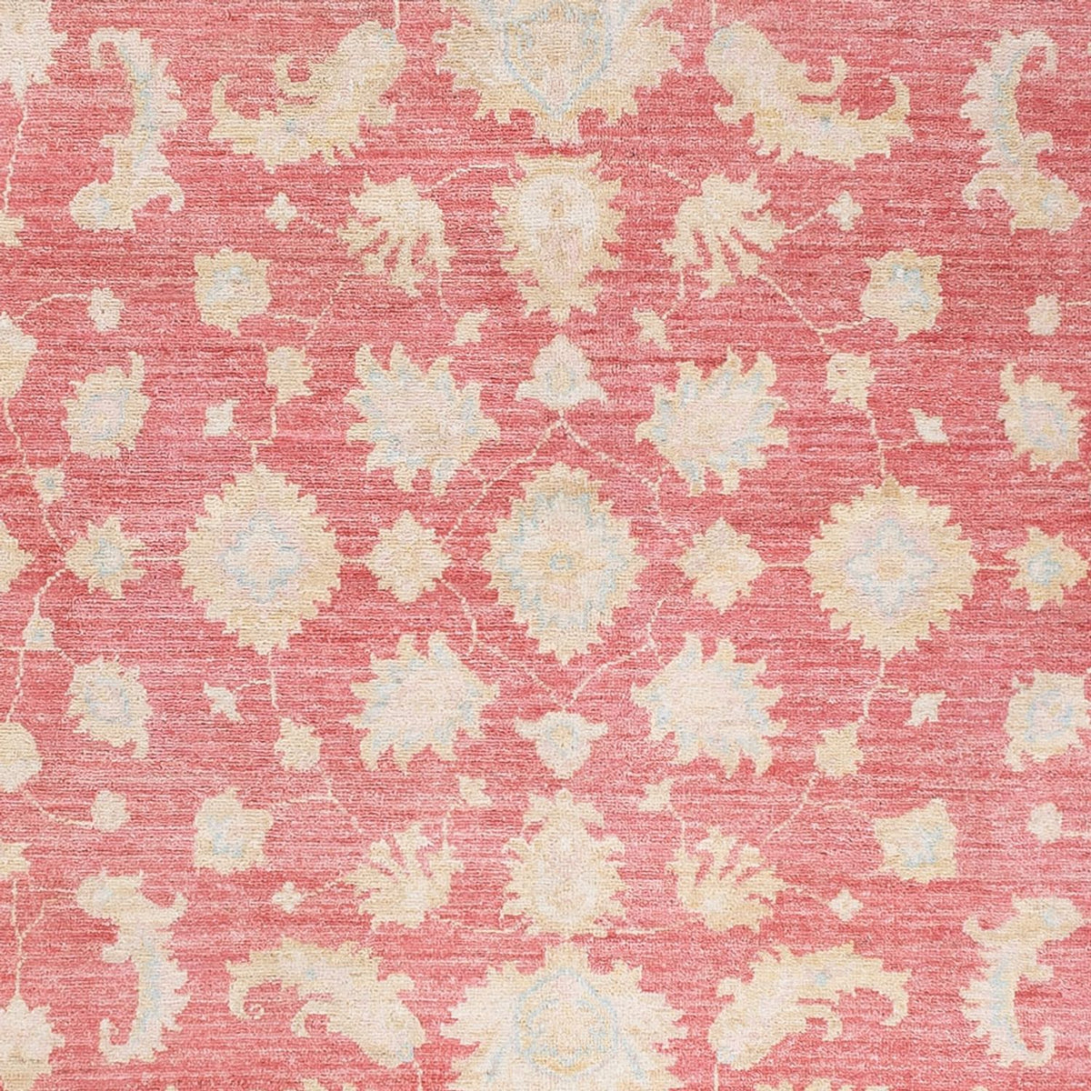 Ziegler Carpet - 245 x 175 cm - röd