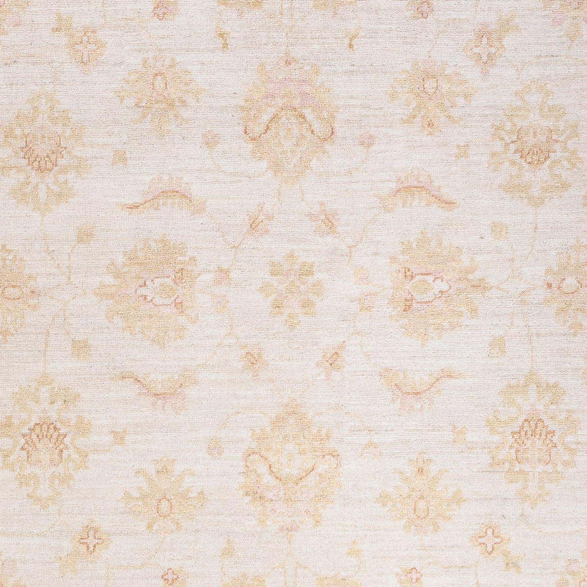Ziegler Carpet - 248 x 175 cm - grädde