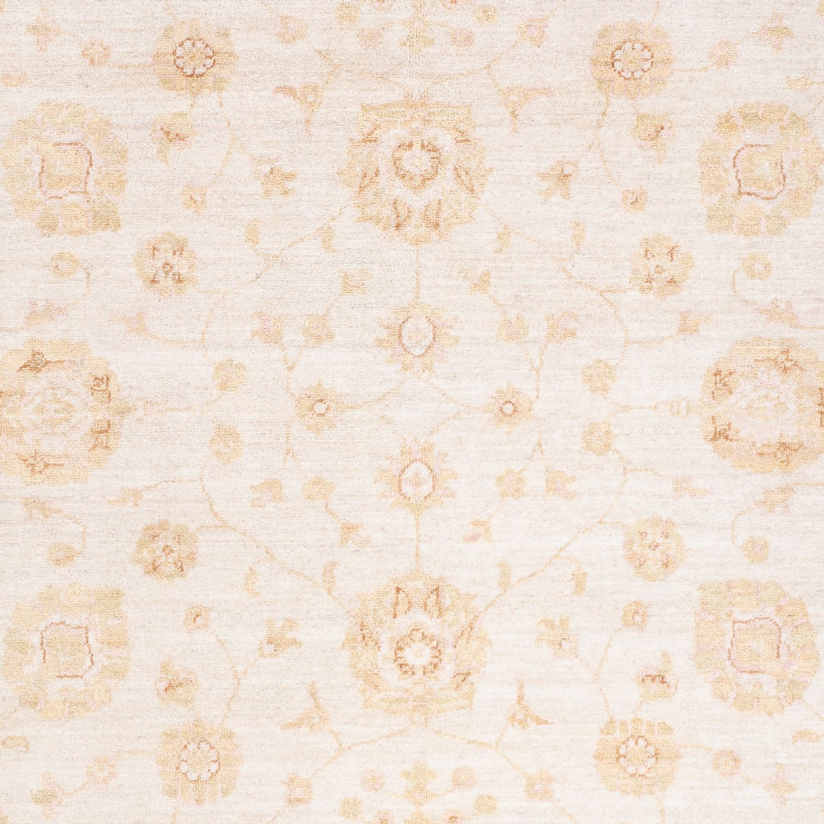 Ziegler Carpet - 240 x 171 cm - grädde