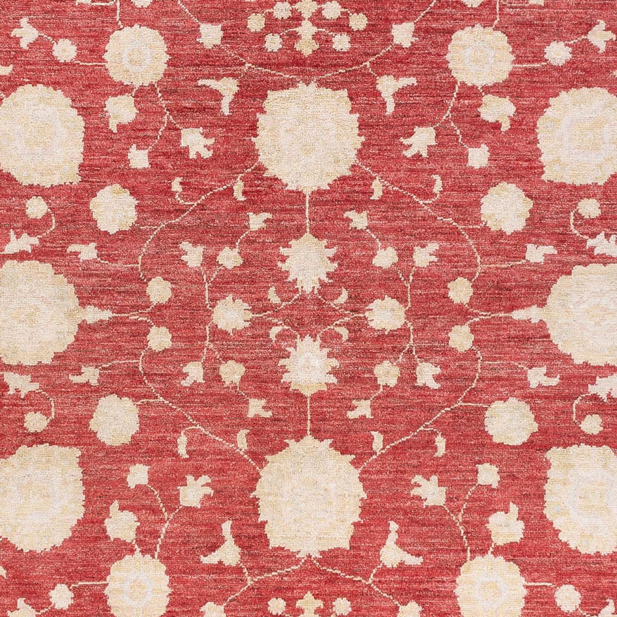 Ziegler Carpet - 240 x 175 cm - röd