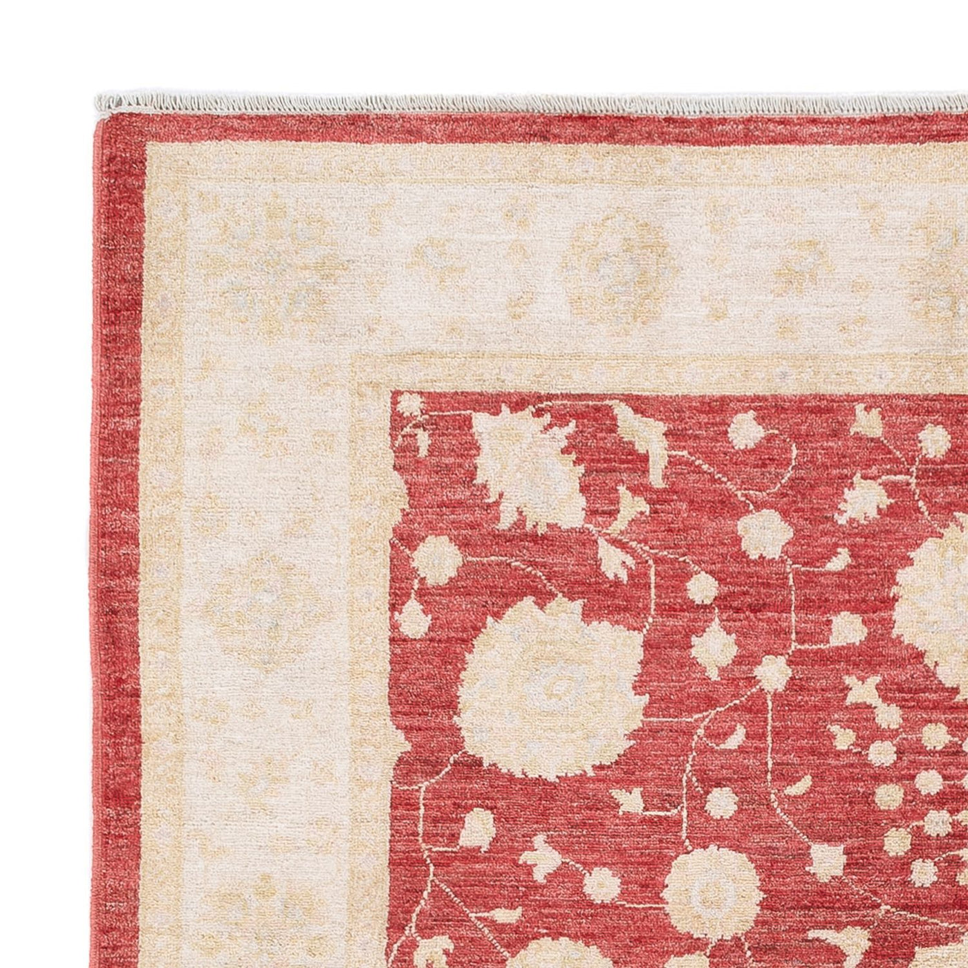 Ziegler Carpet 240x175cm - Oriental Carpet