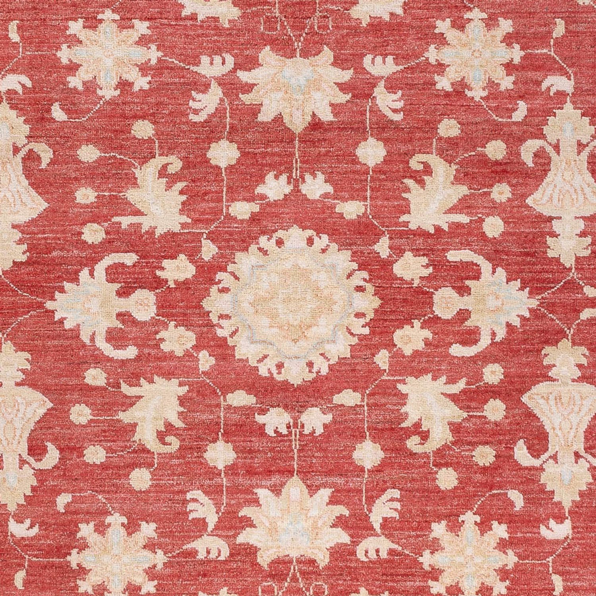 Ziegler Carpet - 227 x 172 cm - röd