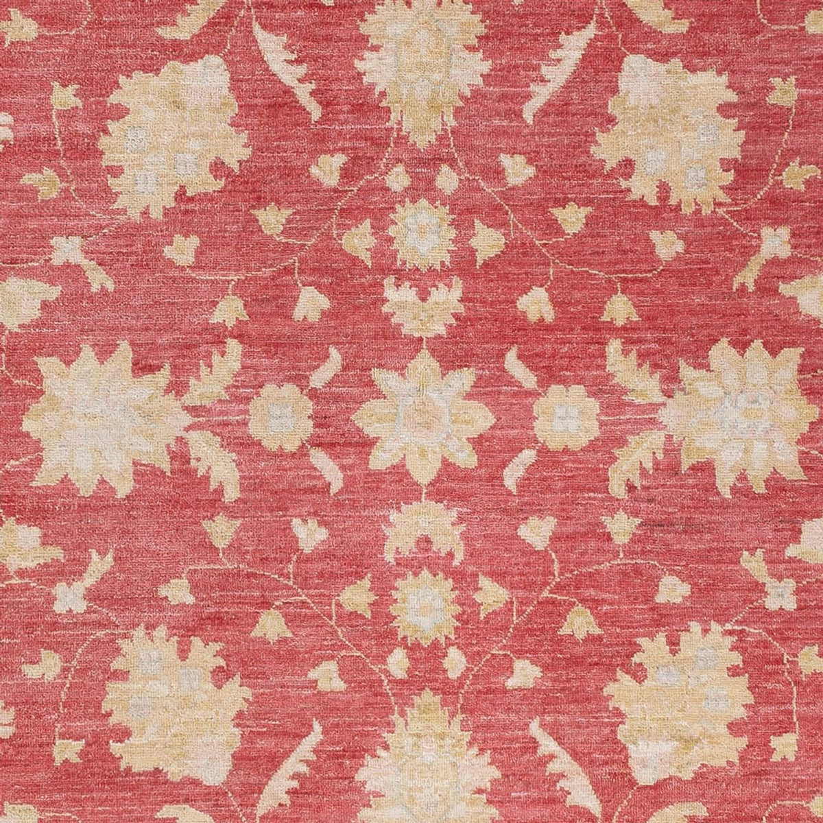 Ziegler Carpet - 234 x 169 cm - röd
