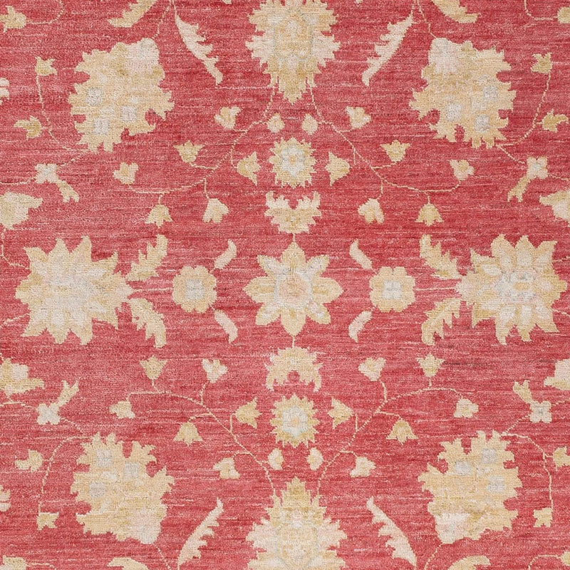 Ziegler Carpet - 234 x 169 cm - röd