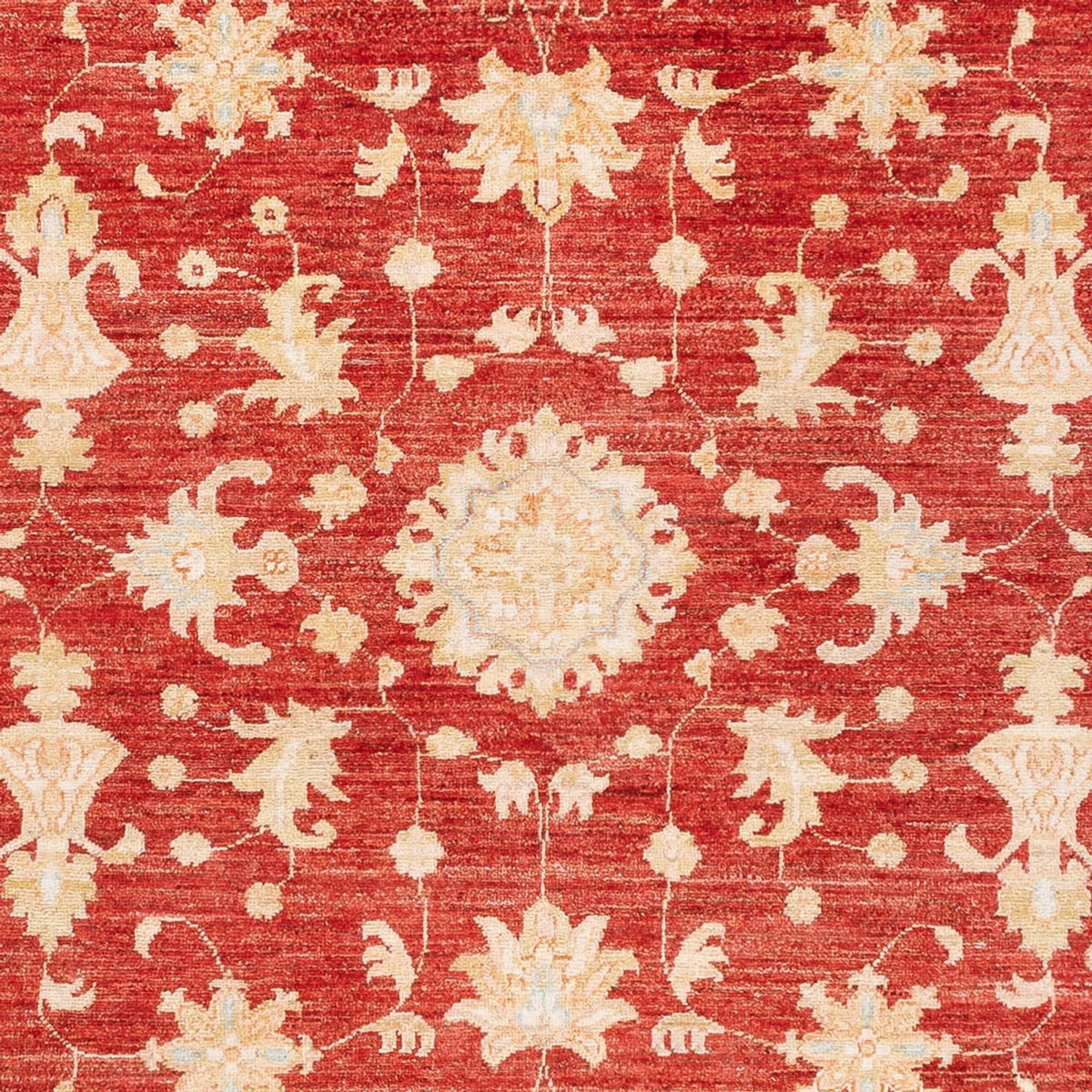 Ziegler Carpet - 241 x 172 cm - röd