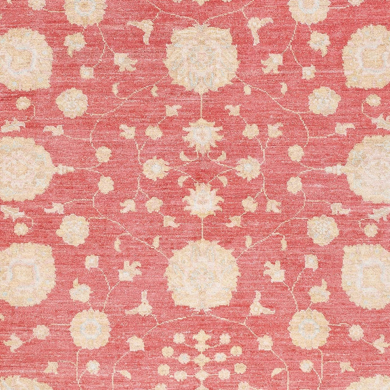 Ziegler Carpet - 238 x 176 cm - röd